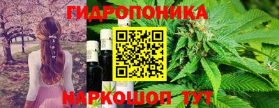дурь Аша