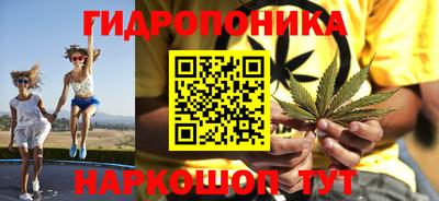 прущие грибы Баксан