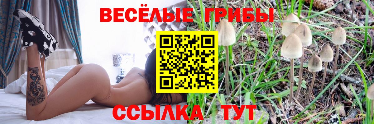 Галлюциногенные грибы мухоморы Троицк