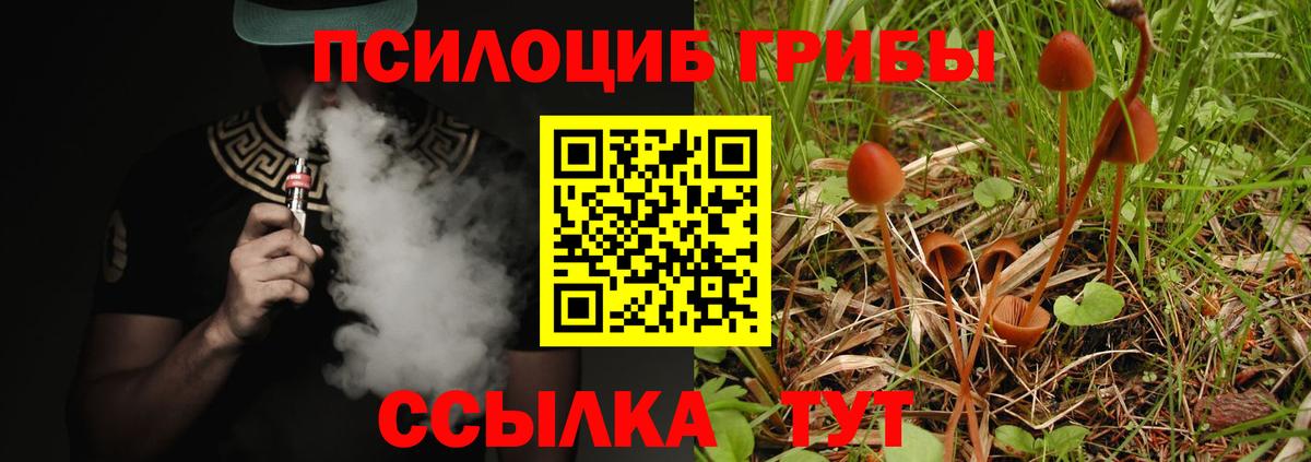 Псилоцибиновые грибы прущие грибы  Вход с VPN  где найти наркотики  Троицк 
